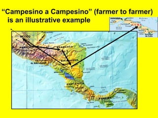 “Campesino a Campesino” (farmer to farmer) 
is an illustrative example 
MEXICO 
 