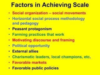Factors in Achieving Scale 
• Social organization – social movements 
• Horizontal social process methodology 
and pedagogy 
• Peasant protagonism 
• Farming practices that work 
• Motivating discourse and framing 
• Political opportunity 
• External allies 
• Charismatic leaders, local champions, etc. 
• Favorable markets 
• Favorable public policies 
 