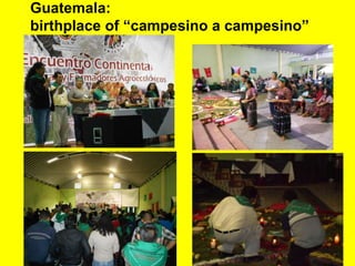 Guatemala: 
birthplace of “campesino a campesino” 
 