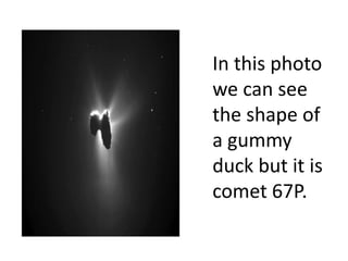 In this photo
we can see
the shape of
a gummy
duck but it is
comet 67P.