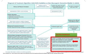3rd-line treatment
AUA. Available from https://www.auanet.org/common/pdf/education/clinical-guidance/Overactive-Bladder-Algorithm.pdf. Accessed February 2016.
 