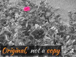 .
Photo taken by Joe Ross.
 