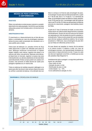 12
Seção 1: Recria 0 a 98 dias (0 a 14 semanas)
MEDIDA DE PESO CORPORAL
E UNIFORMIDADE
OBJETIVOS
Obter uma estimativa correta de peso corporal e a variabili-
dade dentro de cada população, de tal forma que decisões
adequadas possam ser tomadas sobre o fornecimento de
alimento.
AMOSTRAGEM DE PESO
O crescimento e o desenvolvimento de um lote são ava-
liados e controlados por meio de amostragens represen-
tativas de aves e pela comparação dos resultados com o
peso padrão para a idade.
Vários tipos de balanças (i.e. precisão mínima de 20 g)
estão disponíveis e podem ser utilizadas para pesar as
aves. Balanças mecânicas convencionais ou digitais
exigem trabalho mais intenso; registros dos pesos e os
cálculos são feitos manualmente. Balanças automáticas,
já disponíveis no mercado, registram os pesos das aves
individualmente e os cálculos estatísticos do lote são feitos
automaticamente. Ambos os tipos podem ser usados com
sucesso, mas somente um deles deverá ser usado para
pesagens repetidas de um mesmo lote.
Todos os sistemas de medidas requerem calibragem e os
pesos para aferí-las devem estar sempre disponíveis para
se veriﬁcar a precisão da balança. Uma aferição deve ser
feita no começo e no ﬁnal de cada amostragem de peso.
A amostragem de peso deve ser feita semanalmente, a partir
do 1º dia de vida. Aos 0, 7 e 14 dias (0, 1 e 2 semanas) de
idade,asamostragenspodemserfeitasemmassa,pesando-
se de 10-20 aves por vez. A amostragem total não pode ser
menorque5%dolote.Emlotesqueapresentaremproblemas
precoces de crescimento, pesagens intermediárias devem
ser feitas.
A partir de 21 dias (3 semanas) de idade, as aves amos-
tradas devem ser selecionadas aleatoriamente e pesadas
individualmente. Grupos de cerca 50 aves por box devem
ser separadas por meio de grades de arame e pesadas in-
dividualmente. Todas as aves presas têm que ser pesadas
para eliminar qualquer preferência seletiva. Se os boxes
excederem a 1000 aves, duas amostragens de peso têm
que ser feitas em diferentes pontos do box.
As aves devem ser pesadas no mesmo dia da semana
e no mesmo horário. O objetivo é obter, por meio de
amostragens precisas, uma representação verdadeira do
crescimento e desenvolvimento do lote. O peso de cada
ave deve ser registrado numa ﬁcha, a medida que as aves
são pesadas (Veja Diagrama 7).
Imediatamente após a pesagem, os seguintes parâmetros
devem ser calculados:
- Peso médio do lote
- Variação de peso no lote
- Distribuição de peso no lote
- Uniformidade + ou - 10% .
-% de coeﬁciente de variação (% CV)
 