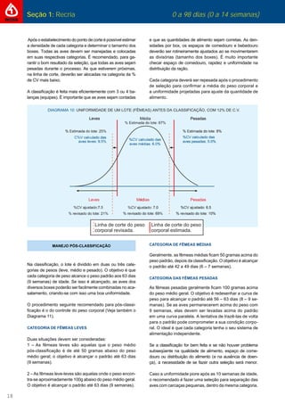 18
Seção 1: Recria 0 a 98 dias (0 a 14 semanas)
Após o estabelecimento do ponto de corte é possível estimar
a densidade de cada categoria e determinar o tamanho dos
boxes. Todas as aves devem ser manejadas e colocadas
em suas respectivas categorias. É recomendado, para ga-
rantir o bom resultado da seleção, que todas as aves sejam
pesadas durante o processo. As que estiverem próximas,
na linha de corte, deverão ser alocadas na categoria da %
de CV mais baixo.
A classiﬁcação é feita mais eﬁcientemente com 3 ou 4 ba-
lanças (equipes). É importante que as aves sejam contadas
e que as quantidades de alimento sejam corretas. As den-
sidades por box, os espaços de comedouro e bebedouro
deverão ser rotineiramente ajustados ao se movimentarem
as divisórias (tamanho dos boxes). É muito importante
checar espaço de comedouro, rapidez e uniformidade na
distribuição da ração.
Cada categoria deverá ser repesada após o procedimento
de seleção para conﬁrmar a média do peso corporal e
a uniformidade projetadas para ajuste da quantidade de
alimento.
MANEJO PÓS-CLASSIFICAÇÃO
Na classiﬁcação, o lote é dividido em duas ou três cate-
gorias de pesos (leve, médio e pesado). O objetivo é que
cada categoria de peso alcance o peso padrão aos 63 dias
(9 semanas) de idade. Se isso é alcançado, as aves dos
diversos boxes poderão ser facilmente combinadas no aca-
salamento, criando-se com isso uma boa uniformidade.
O procedimento seguinte recomendado para pós-classi-
ﬁcação é o do controle do peso corporal (Veja também o
Diagrama 11).
CATEGORIA DE FÊMEAS LEVES
Duas situações devem ser consideradas:
1 – As fêmeas leves são aquelas que o peso médio
pós-classiﬁcação é de até 50 gramas abaixo do peso
médio geral; o objetivo é alcançar o padrão até 63 dias
(9 semanas).
2 – As fêmeas leve-leves são aquelas onde o peso encon-
tra-se aproximadamente 100g abaixo do peso médio geral.
O objetivo é alcançar o padrão até 63 dias (9 semanas).
CATEGORIA DE FÊMEAS MÉDIAS
Geralmente, as fêmeas médias ﬁcam 50 gramas acima do
peso padrão, depois da classiﬁcação. O objetivo é alcançar
o padrão até 42 a 49 dias (6 – 7 semanas).
CATEGORIA DAS FÊMEAS PESADAS
As fêmeas pesadas geralmente ﬁcam 100 gramas acima
do peso médio geral. O objetivo é redesenhar a curva de
peso para alcançar o padrão até 56 – 63 dias (8 – 9 se-
manas). Se as aves permanecerem acima do peso com
9 semanas, elas devem ser levadas acima do padrão
em uma curva paralela. A tentativa de trazê-las de volta
para o padrão pode comprometer a sua condição corpo-
ral. O ideal é que cada categoria tenha o seu sistema de
alimentação independente.
Se a classiﬁcação for bem feita e se não houver problema
subseqüente na qualidade de alimento, espaço de come-
douro ou distribuição do alimento (e na ausência de doen-
ça), a necessidade de se fazer outra seleção será menor.
Caso a uniformidade piore após as 10 semanas de idade,
o recomendado é fazer uma seleção para separação das
aves com carcaças pequenas, dentro da mesma categoria.
 