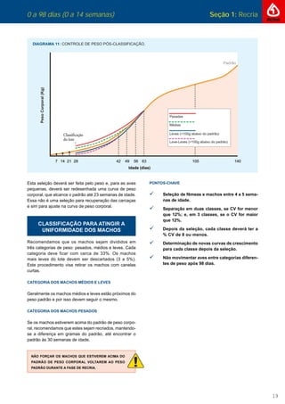 0 a 98 dias (0 a 14 semanas) Seção 1: Recria
19
0 a 98 dias (0 a 14 semanas) Seção 1: Recria
Esta seleção deverá ser feita pelo peso e, para as aves
pequenas, deverá ser redesenhada uma curva de peso
corporal, que alcance o padrão até 23 semanas de idade.
Essa não é uma seleção para recuperação das carcaças
e sim para ajuste na curva de peso corporal.
CLASSIFICAÇÃO PARA ATINGIR A
UNIFORMIDADE DOS MACHOS
Recomendamos que os machos sejam divididos em
três categorias de peso: pesados, médios e leves. Cada
categoria deve ficar com cerca de 33%. Os machos
mais leves do lote devem ser descartados (3 a 5%).
Este procedimento visa retirar os machos com canelas
curtas.
CATEGORIA DOS MACHOS MÉDIOS E LEVES
Geralmente os machos médios e leves estão próximos do
peso padrão e por isso devem seguir o mesmo.
CATEGORIA DOS MACHOS PESADOS
Se os machos estiverem acima do padrão de peso corpo-
ral, recomendamos que estes sejam recriados, mantendo-
se a diferença em gramas do padrão, até encontrar o
padrão às 30 semanas de idade.
NÃO FORÇAR OS MACHOS QUE ESTIVEREM ACIMA DO
PADRÃO DE PESO CORPORAL VOLTAREM AO PESO
PADRÃO DURANTE A FASE DE RECRIA.
PONTOS-CHAVE
 Seleção de fêmeas e machos entre 4 a 5 sema-
nas de idade.
 Separação em duas classes, se CV for menor
que 12%; e, em 3 classes, se o CV for maior
que 12%.
 Depois da seleção, cada classe deverá ter a
% CV de 8 ou menos.
 Determinação de novas curvas de crescimento
para cada classe depois da seleção.
 Não movimentar aves entre categorias diferen-
tes de peso após 98 dias.
 