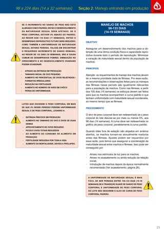 98 a 224 dias (14 a 32 semanas) Seção 2: Manejo entrando em produção
25
SE O INCREMENTO NO GANHO DE PESO NÃO ESTÁ
ALINHADO COM O PADRÃO, ENTÃO O DESENVOLVIMENTO
DA MATURIDADE SEXUAL SERÁ AFETADO. SE O
PESO CORPORAL ESTIVER 5% ABAIXO DO PADRÃO,
AO REDOR DOS 119 DIAS (17 SEMANAS), ENTÃO O
DESEMPENHO REPRODUTIVO FUTURO SERÁ REDUZIDO,
COMO TAMBÉM A UNIFORMIDADE DE MATURIDADE
SEXUAL ESTARÁ PERDIDA. FALHAS EM ENCONTRAR
O REQUERIDO INCREMENTO DE GANHO SEMANAL
AO REDOR DE 133 DIAS (19 SEMANAS), SÃO A CAUSA
COMUM DE DESEMPENHOS POBRES. DIMINUIÇÃO NO
CRESCIMENTO E NO DESENVOLVIMENTO OVARIANO
PODEM OCASIONAR:
- ATRASO NA ENTRADA EM PRODUÇÃO
- TAMANHO INICIAL DE OVO PEQUENO
- AUMENTO NO PERCENTUAL DE OVOS REJEITADOS /
FORMATOS IRREGULARES
- REDUÇÃO NA FERTILIDADE
- AUMENTO NO NÚMERO DE AVES EM CHÔCO
- PERDA DE UNIFORMIDADE.
LOTES QUE EXCEDEM O PESO CORPORAL EM MAIS
DE QUE 5% NESSE PERÍODO PERDEM UNIFORMIDADE
SEXUAL E DE PESO CORPORAL, LEVANDO A:
- ENTRADA PRECOCE EM PRODUÇÃO
- AUMENTO NO TAMANHO DO OVO E OVOS DE DUAS
GEMAS
- APROVEITAMENTO DE OVOS REDUZIDO
- PICOS E OVOS TOTAIS REDUZIDOS
- AO AUMENTO DO CONSUMO DE ALIMENTO EM
PRODUÇÃO
- FERTILIDADE REDUZIDA POR TODA A VIDA
- AUMENTO DA MORTALIDADE, DEVIDA A PROLAPSO.
MANEJO DE MACHOS
98-133 DIAS
(14-19 SEMANAS)
OBJETIVO
Assegurar um desenvolvimento dos machos para a ob-
tenção de uma ótima condição física e capacidade repro-
dutiva durante todo o período de reprodução. Minimizar
a variação de maturidade sexual dentro da população de
machos.
PRINCÍPIOS
Atenção: os requerimentos de manejo dos machos devem
ter a mesma prioridade dada às fêmeas. Por essa razão,
as recomendações e observações feitas para os manejos
das fêmeas nesse período são igualmente relevantes
para a população de machos. Como nas fêmeas, a partir
dos 105 dias (15 semanas) os esforços devem ser feitos
para que os machos acompanhem a curva padrão e que
tenham uniformidade com maturidade sexual coordenada,
ao mesmo tempo que as fêmeas.
PROCEDIMENTO
O alvo de peso corporal deve ser redesenhado se o peso
corporal do lote desviar-se por mais ou menos 5%, aos
98 dias (14 semanas). A curva deve ser redesenhada no
gráﬁco de peso corporal, paralelamente à curva padrão.
Quando lotes fora de estação são alojados em aviários
abertos, os machos tornam-se sexualmente maduros
antes das fêmeas. Ajustes podem ser requeridos por
essa razão, pois temos que assegurar a coordenação da
maturidade sexual entre machos e fêmeas. Isso pode ser
conseguido por:
· Atraso nos estímulos de luz para os machos;
· Atraso no acasalamento ou ainda redução da relação
inicial;
· Introdução de machos depois da época normalmente
recomendada (Ver acasalamento, página 26).
A UNIFORMIDADE DE MATURIDADE SEXUAL É MAIS
FÁCIL DE SER PERDIDA ENTRE 105-133 DIAS (15-19
SEMANAS) SE A TRANSIÇÃO SUAVE DE GANHO DE PESO
CORPORAL E UNIFORMIDADE DE PESO CORPORAL
DO LOTE NÃO SEGUIREM O ALVO DE CURVA DE PESO
CORPORAL PADRÃO.
 