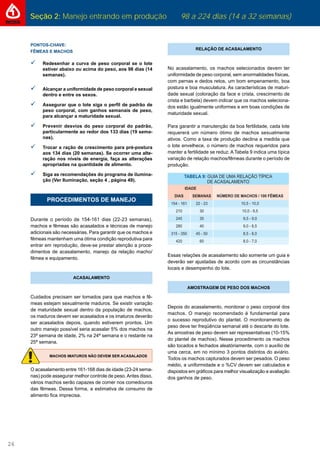 Seção 2: Manejo entrando em produção 98 a 224 dias (14 a 32 semanas)
26
PONTOS-CHAVE:
FÊMEAS E MACHOS
 Redesenhar a curva de peso corporal se o lote
estiver abaixo ou acima do peso, aos 98 dias (14
semanas).
 Alcançar a uniformidade de peso corporal e sexual
dentro e entre os sexos.
 Assegurar que o lote siga o perﬁl de padrão de
peso corporal, com ganhos semanais de peso,
para alcançar a maturidade sexual.
 Prevenir desvios do peso corporal do padrão,
particularmente ao redor dos 133 dias (19 sema-
nas).
 Trocar a ração de crescimento para pré-postura
aos 134 dias (20 semanas). Se ocorrer uma alte-
ração nos níveis de energia, faça as alterações
apropriadas na quantidade de alimento.
 Siga as recomendações do programa de ilumina-
ção (Ver Iluminação, seção 4 , página 49).
PROCEDIMENTOS DE MANEJO
Durante o período de 154-161 dias (22-23 semanas),
machos e fêmeas são acasalados e técnicas de manejo
adicionais são necessárias. Para garantir que os machos e
fêmeas mantenham uma ótima condição reprodutiva para
entrar em reprodução, deve-se prestar atenção a proce-
dimentos de acasalamento, manejo da relação macho/
fêmea e equipamento.
ACASALAMENTO
Cuidados precisam ser tomados para que machos e fê-
meas estejam sexualmente maduros. Se existir variação
de maturidade sexual dentro da população de machos,
os maduros devem ser acasalados e os imaturos deverão
ser acasalados depois, quando estiverem prontos. Um
outro manejo possível seria acasalar 5% dos machos na
23ª semana de idade, 2% na 24ª semana e o restante na
25ª semana.
MACHOS IMATUROS NÃO DEVEM SER ACASALADOS
O acasalamento entre 161-168 dias de idade (23-24 sema-
nas) pode assegurar melhor controle de peso.Antes disso,
vários machos serão capazes de comer nos comedouros
das fêmeas. Dessa forma, a estimativa de consumo de
alimento ﬁca imprecisa.
RELAÇÃO DE ACASALAMENTO
No acasalamento, os machos selecionados devem ter
uniformidade de peso corporal, sem anormalidades físicas,
com pernas e dedos retos, um bom empenamento, boa
postura e boa musculatura. As características de maturi-
dade sexual (coloração da face e crista, crescimento de
crista e barbela) devem indicar que os machos seleciona-
dos estão igualmente uniformes e em boas condições de
maturidade sexual.
Para garantir a manutenção da boa fertilidade, cada lote
requererá um número ótimo de machos sexualmente
ativos. Como a taxa de produção declina a medida que
o lote envelhece, o número de machos requeridos para
manter a fertilidade se reduz. A Tabela 9 indica uma típica
variação de relação machos/fêmeas durante o período de
produção.
Essas relações de acasalamento são somente um guia e
deverão ser ajustadas de acordo com as circunstâncias
locais e desempenho do lote.
AMOSTRAGEM DE PESO DOS MACHOS
Depois do acasalamento, monitorar o peso corporal dos
machos. O manejo recomendado é fundamental para
o sucesso reprodutivo do plantel. O monitoramento de
peso deve ter freqüência semanal até o descarte do lote.
As amostras de peso devem ser representativas (10-15%
do plantel de machos). Nesse procedimento os machos
são tocados e fechados aleatóriamente, com o auxílio de
uma cerca, em no mínimo 3 pontos distintos do aviário.
Todos os machos capturados devem ser pesados. O peso
médio, a uniformidade e o %CV devem ser calculados e
dispostos em gráﬁcos para melhor visualização e avaliação
dos ganhos de peso.
154 - 161 22
 