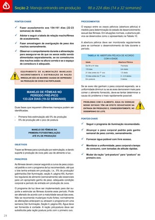 Seção 2: Manejo entrando em produção 98 a 224 dias (14 a 32 semanas)
28
PONTOS-CHAVE
Fazer acasalamento aos 154-161 dias (22-23
semanas) de idade.
Adotar e seguir a tabela de relação macho/fêmea
de acasalamento.
Fazer amostragem de averiguação de peso dos
machos semanalmente.
Observar o comportamento durante a alimentação
para assegurar-se de que os sexos estão sendo
alimentados separadamente, se os comedouros
dos machos estão na altura correta e se o espaço
de comedouro é adequado.
EQUIPAMENTO DE ALIMENTAÇÃO MANEJADO
INCORRETAMENTE E DISTRIBUIÇÃO DE RAÇÃO
IRREGULAR SÃO AS MAIORES CAUSAS DE DEPRESSÃO
NA PRODUÇÃO DE OVOS E NA FERTILIDADE.
MANEJO DE FÊMEAS NO
PERÍODO PRÉ-PICO
133-224 DIAS (19-32 SEMANAS)
Duas fases que requerem diferentes manejos podem ser
identiﬁcadas:
- Primeira foto-estimulação até 5% de produção
- 5% de produção até o pico de postura
MANEJO DE FÊMEAS DA
PRIMEIRA FOTOESTIMULAÇÃO
ATÉ 5% DE PRODUÇÃO
OBJETIVOS
Trazer as fêmeas para a produção por estimulação, e dando
suporte à produção de ovos pelo uso de alimento e luz.
PRINCÍPIOS
As fêmeas devem crescer seguindo a curva de peso corpo-
ral padrão e com o programa de luz recomendado, até que
o lote tenha entrado em produção, i.e., 5% de produção/
galinha/dia (Ver Iluminação, seção 4, página 49). Aumen-
tos regulares de alimento (semanalmente) são essenciais
para um apropriado ganho de peso, adequada condição
corporal e período de entrada em produção de ovos.
O programa de luz deve ser implementado para dar su-
porte e estimular as fêmeas durante esse período. Pode
ser alterado de acordo com a maturidade sexual das aves.
Não se recomenda mudanças muito fortes; normalmente
as alterações antecipam ou atrasam o programa em uma
semana (Ver Iluminação, Seção 4, página 49). Água deve
ser fornecida à vontade. A ração pré-postura deve ser
substituída pela ração postura junto com o primeiro ovo.
PROCEDIMENTOS
O espaço entre os ossos pélvicos (abertura pélvica) é
medido para determinação do estado de desenvolvimento
sexual das fêmeas. Em situações normais, a abertura pél-
vica se desenvolve como o apresentado na Tabela 10.
A abertura pélvica deve ser monitorada regularmente
para se conhecer o desenvolvimento do lote durante o
período.
Se as aves não ganham o peso corporal esperado, se a
uniformidade diminuir ou se as aves demorarem mais para
comer o alimento fornecido, deve-se tentar determinar a
causa do problema o mais rapidamente possível.
PROBLEMAS COM O ALIMENTO, ÁGUA OU DOENÇAS
NESSE ESTÁGIO TÊM UM EFEITO DEVASTADOR NA
ENTRADA EM PRODUÇÃO E, CONSEQÜENTEMENTE, NO
DESEMPENHO DO LOTE.
PONTOS-CHAVE
Seguir o programa de iluminação recomendado.
Alcançar o peso corporal padrão pelo ganho
semanal de peso correto, semanalmente.
Fornecer água potável com livre acesso.
Monitorar a uniformidade, peso corporal e tempo
de consumo, com tomadas de atitude rápidas.
Mudar da ração “pré-postura” para “postura” ao
primeiro ovo.
 