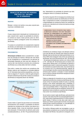 Seção 2: Manejo entrando em produção 98 a 224 dias (14 a 32 semanas)
32
MANEJO DE MACHOS NO PERÍODO
PRÉ PICO 133 - 224 DIAS
(19 -32 SEMANAS)
OBJETIVO
Manejar o número de machos e seu peso corporal para
maximizar a fertilidade inicial.
PRINCÍPIOS
O peso corporal alvo é alcançado por monitoramento do
peso corporal real e ajuste na quantidade de alimento.
O controle do mesmo nesse período pode ser difícil,
porque os machos conseguem comer nos comedouros
das fêmeas.
O sucesso do procedimento de acasalamento depende
da retirada, por observação, do excedente de machos do
lote e das condições das fêmeas.
PROCEDIMENTOS
Alimentação do Macho: Após o acasalamento, os obje-
tivos de produção de machos e fêmeas são mais fáceis
de ser conseguidos se o equipamento e as técnicas da
alimentação separada por sexo são bem utilizados. Os
machos são mais facilmente excluídos dos comedouros
das fêmeas se as cristas deles não forem cortadas.
Para evitar o acesso dos machos aos comedouros das
fêmeas, pode-se usar mangueiras ou conduites plásticos
de 1/2” amarrados internamente nas gradinhas, como mos-
trado no diagrama 15. Quando a crista dos galos atingirem
tamanho suﬁciente que não permita o acesso ao comedouro
das fêmeas as mangueiras devem ser retiradas.
O peso médio e o ganho de peso devem ser monitorados
semanalmente como também a quantidade de alimento
colocada nos comedouros dos machos, que devem ter a
altura regulada. Então, a taxa de crescimento requerida
será alcançada. O fornecimento de alimento pode variar
consideravelmente (i.e., de 100 -170 g de alimento/macho/
dia), dependendo da quantidade de alimento que eles
conseguem retirar do comedouro das fêmeas.
Os machos requerem 20 cm de espaço de comedouro por
ave e os comedouros devem ser distribuídos em linha por
todo o comprimento do aviário. A proporção de espaço e
a disponibilidade de comedouros devem ser mantidas de
acordo com o decréscimo do número de machos ao longo
da vida do lote.
COMEDOUROS POUCO EFICIENTES PARA FAZER A
ALIMENTAÇÃO SEPARADA POR SEXO REDUZEM A
PRECISÃO DO FORNECIMENTO DO ALIMENTO PARA
MACHOS E FÊMEAS. OS PROBLEMASAPARECERÃO SE OS
SEGUINTES PONTOS ESTIVEREM INADEQUADOS :
- CRISTA DOS MACHOS (CORTADA)
- LARGURA E ALTURA DA GRADE
- PRECISÃO DA INSTALAÇÃO DA GRADE
- FECHAMENTO DAS CAÇAMBAS SUPLEMENTARES E
CURVAS
- ALTURA DO COMEDOURO DO MACHO
A eﬁciência do comedouro requer uma atenção contínua
e por isso ele deve ser checado duas vezes por semana.
Atenção maior ao lote deve ser dada quando todos os ma-
chos (100%) não conseguem mais comer nos comedouros
das fêmeas. Isto ocorre tipicamente aos 189 - 224 dias (28
- 32 semanas) de idade para machos com crista cortada
e 175 - 203 dias (25 -29 semanas) para os machos com
crista intacta. Nesse ponto, um incremento do alimento é
requerido para manter o crescimento esperado. O tamanho
do incremento vai variar de lote a lote, mas recomenda-se
um aumento de 5-10 g alimento/macho/dia, seguido de
uma amostragem de peso corporal intermediária (meio da
semana) para monitorar a evolução. É muito importante
que os machos e fêmeas não tenham redução de nutrien-
tes no período pré-pico.
Falhas na detecção do momento em que os machos são
totalmente excluídos dos comedouros das fêmeas são uma
causa comum de pequenas perdas de peso no período
pré-pico e têm sérias implicações para a fertilidade. É
improvável que o peso corporal dos machos seja mantido
com uma quantidade inferior a 130 g/ave/dia. Os machos
podem iniciar a perda de peso se receberem menos de 130
g/ave/dia em seus comedouros, quando já não conseguem
mais comer nos comedouros das fêmeas.
Se os machos roubam ração das fêmeas, particularmente
quando o lote está entre 50% de produção/galinha/dia e o
pico, pode reduzir signiﬁcativamente os níveis de desem-
penho destas. O técnico do lote deve estar atento aos
fatores que indicam quando está ocorrendo uma pequena
perda de peso corporal nas fêmeas, ou uma alteração no
peso diário de ovo , condição da ave , etc.
Os machos e fêmeas podem ser encorajados a usar os
seus próprios comedouros se os machos forem alimenta-
dos depois das fêmeas. Isso pode ser conseguido com o
Cano de PVC de ½”
DIAGRAMA 15: BLOQUEIO DO ACESSO DOS MACHOS
AO COMEDOURO DAS FÊMEAS.
 