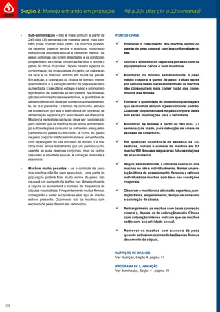 Seção 2: Manejo entrando em produção 98 a 224 dias (14 a 32 semanas)
34
- Sub-alimentação - isto é mais comum a partir de
245 dias (35 semanas) de maneira geral, mas tam-
bém pode ocorrer mais cedo. Os machos podem,
de repente, parecer lerdos e apáticos, mostrando
redução de atividade sexual e cantando menos. Se
esses sintomas não forem detectados e as condições
progredirem, as cristas tornam-se ﬂácidas e ocorre a
perda do tônus muscular. Depois haverá a perda da
conformação da musculatura do peito, da coloração
da face e os machos entram em muda de penas.
Em adição, a coloração da cloaca se tornará menos
avermelhada e a variação dentro da população será
aumentada. Esse último estágio é sério e um número
signiﬁcativo de aves não se recuperará. Na observa-
ção da combinação desses sintomas, a quantidade de
alimento fornecida deve ser aumentada imediatamen-
te, de 3-5 g/ave/dia. O tempo de consumo, espaço
de comedouro por ave e a eﬁciência do processo de
alimentação separada por sexo devem ser checados.
Mudança na textura da ração deve ser considerada
para permitir que os machos muito ativos tenham tem-
po suﬁciente para consumir os nutrientes adequados
(tamanho do pelete ou triturado). A curva do ganho
de peso corporal médio semanal deve ser veriﬁcada,
com repesagem do lote em caso de dúvida. Os ma-
chos mais ativos trabalharão por um período curto,
usando as suas reservas corporais, mas os outros
cessarão a atividade sexual. A correção imediata é
essencial.
- Machos muito pesados - se o controle de peso
dos machos não for bem executado, uma parte da
população poderá ﬁcar muito acima do peso. Isto
causará um aumento de lesões nas fêmeas durante
a cópula ou aumentará o número de freqüência de
cópulas incompletas. Frequentemente muitas fêmeas
começarão a evitar a cópula se este tipo de macho
estiver presente. Ocorrendo isto os machos com
excesso de peso devem ser removidos.
PONTOS-CHAVE
Promover o crescimento dos machos dentro do
padrão de peso corporal com boa uniformidade do
lote.
Utilizar a alimentação separada por sexo com os
equipamentos certos e bem mantidos.
Monitorar, no mínimo semanalmente, o peso
médio corporal e ganho de peso; e duas vezes
por semana desde o acasalamento até os machos
não conseguirem mais comer ração dos come-
douros das fêmeas.
Fornecer a quantidade de alimento requerida para
que os machos atinjam o peso corporal padrão.
Qualquer pequena queda no peso corporal deles
tem sérias implicações para a fertilidade.
Monitorar, as fêmeas a partir de 189 dias (27
semanas) de idade, para detecção de sinais de
excesso de coberturas.
Em qualquer ocorrência de excesso de co-
berturas, reduzir o número de machos em 0,5
macho/100 fêmeas e reajustar as futuras relações
de acasalamento.
Seguir, semanalmente, a rotina de avaliação dos
machos no lote e individualmente. Manter uma re-
lação ótima de acasalamento, fazendo a retirada
individual dos machos com base nas condições
corporais.
Observar e monitorar a atividade, esperteza, con-
dição física, empenamento, tempo de consumo
e coloração da cloaca.
Retirar primeiro os machos com baixa coloração
cloacal e, depois, os de coloração média. Cloaca
com coloração intensa indicam que os machos
estão com boa atividade sexual.
Remover os machos com excesso de peso
quando estiverem ocorrendo lesões nas fêmeas
decorrente da cópula.
NUTRIÇÃO DE MACHOS
Ver Nutrição, Seção 4, página 47
PROGRAMA DE ILUMINAÇÃO
Ver Iluminação, Seção 4 , página 49
 