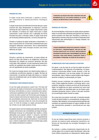 Seção 4: Requerimentos Ambientais Específicos
47
PERÍODO DE CRIA
A ração inicial deve estimular o apetite e promo-
ver crescimento e desenvolvimento fisiológico
precoce.
A ração inicial será normalmente fornecida até que o peso
corporal alvo seja ultrapassado na segunda e terceira
semanas de vida. A partir daí, a ração crescimento I pode
ser utilizada. A mudança da ração inicial para a ração
crescimento I pode coincidir com a alteração da forma
triturada ﬁna para a triturada média. A ração inicial deve
ser fornecida preferencialmente, na forma triturada ﬁna.
Durante a mudança da ração inicial para a crescimento I, o
peso corporal deve ser monitorado cuidadosamente para
assegurar adequado crescimento. Isso é especialmente
importante quando esta transição envolve uma forma
diferente de ração.
PERÍODO DE RECRIA
Durante o período de crescimento, as taxas diárias de
ganho de peso são baixas e as exigências nutricionais
expressas em relação ao consumo alimentar não são
muito altas. Não obstante, é muito importante manter bom
padrão de qualidade das rações nesse período e evitar o
uso de ingredientes de baixa qualidade.
Os níveis de energia devem ser determinados pelas cir-
cunstâncias econômicas vigentes na região. Na fase de
crescimento, os aportes de ração são baixos e o manejo
deve ser simpliﬁcado pelo uso de rações de baixa densi-
dade nutricional.
TRANSIÇÃO À MATURIDADE SEXUAL
O uso de ração pré-postura a partir dos 133 dias (20
semanas) de idade é fortemente recomendado. Ela irá
fornecer aminoácidos e outros nutrientes para desen-
volvimento satisfatório do trato reprodutivo. Níveis adi-
cionais de cálcio podem ser fornecidos para assegurar
máximo desenvolvimento da medula óssea. A provisão
de quantidades adicionais de vitaminas irá maximizar
as reservas corporais antes do início da produção de
ovos. O nível de energia na ração pré-postura deve
ser similar ao da ração postura inicial.
As rações devem ser formuladas para atender as especiﬁ-
cações nutricionais e ser consistentes ao longo do tempo.
Mudanças bruscas na composição das rações e outras
alterações que possam reduzir o consumo voluntário
das mesmas devem ser evitadas. Isto é especialmente
importante durante o período pré-postura. É conveniente
que o mesmo suplemento vitamínico-mineral seja usado
nas rações pré-postura e postura.
A MUDANÇA DA RAÇÃO NÃO DEVE COINCIDIR COM UMA
MOVIMENTAÇÃO DO LOTE ENTRE AVIÁRIOS OU OUTRO
MANEJO DE IMPORTÂNCIA COMO VACINAÇÕES.
PERÍODO DE POSTURA
As recomendações nutricionais da ração postura apresen-
tadas no encarte são suﬁcientes para garantir bom desem-
penho produtivo em lotes bem recriados e uniformes. O
desempenho durante a fase de produção é freqüentemente
inﬂuenciado pela alimentação e o manejo adotado nos
estágios anteriores.
O BAIXO DESEMPENHO PRODUTIVO DURANTE O PERÍODO
DE POSTURA É, FREQÜENTEMENTE, REFLEXO DE UMA
SUPERALIMENTAÇÃO NO ESTÁGIO IMEDIATAMENTE
ANTERIOR DAVIDADASAVES. UM SUPRIMENTO DE RAÇÃO
ADICIONAL PARA AVES NESSAS CONDIÇÕES TENDE A
EXACERBAR O PROBLEMA, AO INVÉS DE SOLUCIONÁ-LO.
ALIMENTAÇÃO POR FASE DURANTE A POSTURA
Em geral, o uso de mais de um tipo de ração de postura
é desnecessário. Sob algumas circunstâncias, os reque-
rimentos nutricionais podem mudar durante o ciclo de
postura, justiﬁcando o uso de duas rações. Os níveis de
aminoácidos, cálcio, fósforo e ácido linoléico são freqüen-
temente mudados na alimentação por fases.
Existem poucas mudanças nas exigências de aminoá-
cidos. Estas exigências tendem a aumentar após o pico
produtivo, atingindo o máximo em torno de 55 semanas de
idade. As exigências de cálcio aumentam em aves mais
velhas, e podem ser atendidas pelo uso de fontes suple-
mentares grosseiras sobre a cama e não pelo aumento
da concentração deste mineral na ração.
Se o peso dos ovos estiver muito alto, é indicada redução
no teor de ácido linoléico e, provavelmente, de alguns ami-
noácidos. Não obstante, ovos excessivamente grandes são
resultado de superalimentação em algum estágio da vida
das reprodutoras pesadas e recomenda-se que seja
evitado.
NUTRIÇÃO DE MACHOS
O uso de rações especíﬁcas para machos durante o
período de postura pode apresentar benefícios em
termos de manutenção da condição ﬁsiológica e da
fertilidade.
No entanto, a prática amplamente disseminada de ali-
mentar galos com a mesma ração das fêmeas, indica não
haver efeitos prejudiciais ao desempenho destes galos.
 