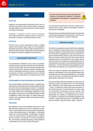 6
Seção 1: Recria 0 a 98 dias (0 a 14 semanas)
CRIA
OBJETIVOS
Assegurar uma progressão de crescimento forte, de um a
sete dias, para atingir o peso corporal padrão e assegurar
que seja mantida a curva de crescimento contínua até vinte
e oito dias (4 semanas).
Conseguir o sucesso do lote a partir do primeiro
dia de vida, desenvolver o apetite, promover um bom em-
penamento e manter a uniformidade dentro do lote.
PRINCÍPIOS
Fornecer para os pintos temperatura correta, umidade
relativa recomendada, ração e água de boa qualidade e
densidade apropriada. Os altos níveis de desempenho no
período de postura estão na dependência de altos padrões
de manejo nos primeiros estágios da vida das aves.
PROCESSAMENTO DOS PINTOS
Os procedimentos realizados no lote, tanto no incubatório
quanto na granja nos primeiros dias de vida, têm interferên-
cia direta no bem-estar dos pintos. Esses procedimentos
incluem corte da crista, corte dos dedos ou da espora dos
machos e debicagem de fêmeas e machos.Anecessidade
de qualquer um desses procedimentos deve ser revisada
freqüentemente e estes devem ser especíﬁcos para cada
lote.
PROCESSAMENTO DE MACHOS MATRIZES NO INCUBATÓRIO
Para prevenir lesões nas fêmeas durante o acasalamento,
recomenda-se a remoção da unha do dedo posterior de cada
pé do pinto macho e cauterização da espora no incubatório.
O corte da crista não é recomendado. A presença de machos
com crista intacta torna a alimentação separada por sexo
mais efetiva e mais precoce. Isso também ajudará a manter
a fertilidade em lotes mais velhos. As cristas intactas são,
contudo, mais susceptíveis a lesões causadas pelo equipa-
mento e por brigas.
DEBICAGEM
Normalmente as aves são debicadas entre cinco e sete
dias de idade usando-se para tal um debicador de pre-
cisão. É recomendável que os pintos estejam confortáveis
e sejam alimentados antes da debicagem. A debicagem
requer alto nível de habilidade, concentração e precisão
e deve ser sempre feita por pessoal treinado. O objetivo
deve ser sempre o de remover a mínima quantidade do
bico, minimizando o estresse dos pintos. A troca da lâmina
do debicador deve ser feita a cada 5.000 pintos.
DEVE-SE TER MUITO CUIDADO PARA A OBTENÇÃO UMA
PERFEITA CAUTERIZAÇÃO DURANTE O PROCESSO
DE DEBICAGEM, PARA REDUZIR A POSSIBILIDADE DE
INFECÇÃO.
O fornecimento de suplemento vitamínico na água por um
breve período, antes e depois da debicagem, ajudará o
processo de cicatrização.
É essencial que somente pessoal treinado e equipamento
correto sejam empregados na debicagem; e isso deve ser
feito sob a orientação de um técnico habilitado.
PREPARO DO AVIÁRIO
Os aviários e equipamentos devem estar limpos, desinfeta-
dos e montados em tempo hábil para que as campânulas
possam ser ligadas e a temperatura atinja o nível desejável
24 horas antes da chegada dos pintos (veja também Hi-
giene e Saúde dasAves, Seção 4, pág. 60).Atemperatura
deve ser tomada à altura dos pintos. Se o tempo não for
suﬁciente para que a temperatura do piso atinja a tempe-
ratura do aviário, há o perigo de os pintos passarem frio. O
comportamento dos pintos é o mais importante indicador de
temperatura. O responsável pelo manejo (tratador) tem que
estar atento às mudanças no comportamento dos pintos.
Cama nova deve ser colocada numa espessura de 10 cm,
exceto se a alimentação no chão for praticada. Nesse caso,
a espessura da cama não deve ultrapassar 4 cm. O excesso
de cama pode criar um problema de afundamento levando
alguns pintos a enterrarem-se na mesma.
Aúnica iluminação artiﬁcial necessária no aviário será a do
local dos círculos, que podem ser de 4 a 5 m de diâmetro
para 1.500 pintos. A luz artiﬁcial deve ser brilhante de 80
- 100 lux. O restante do aviário pode estar escurecido ou
fracamente iluminado. A área iluminada do aviário deve
ser aumentada na proporção da área ocupada. Para
as primeiras 48 horas, a iluminação deve ser contínua,
dependendo da condição e comportamento dos pintos.
Em seguida um programa de iluminação designado para
controlar o desenvolvimento físico e maturidade do lote
deve ser adotado. (Veja Iluminação, seção 4, pág 49)
 