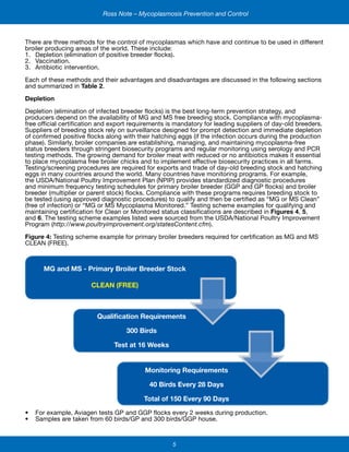 5
Ross Note – Mycoplasmosis Prevention and Control
There are three methods for the control of mycoplasmas which have and continue to be used in different
broiler producing areas of the world. These include:
1.	 Depletion (elimination of positive breeder flocks).
2.	 Vaccination.
3.	 Antibiotic intervention.
Each of these methods and their advantages and disadvantages are discussed in the following sections
and summarized in Table 2.
Depletion
Depletion (elimination of infected breeder flocks) is the best long-term prevention strategy, and
producers depend on the availability of MG and MS free breeding stock. Compliance with mycoplasma-
free official certification and export requirements is mandatory for leading suppliers of day-old breeders.
Suppliers of breeding stock rely on surveillance designed for prompt detection and immediate depletion
of confirmed positive flocks along with their hatching eggs (if the infection occurs during the production
phase). Similarly, broiler companies are establishing, managing, and maintaining mycoplasma-free
status breeders through stringent biosecurity programs and regular monitoring using serology and PCR
testing methods. The growing demand for broiler meat with reduced or no antibiotics makes it essential
to place mycoplasma free broiler chicks and to implement effective biosecurity practices in all farms.
Testing/screening procedures are required for exports and trade of day-old breeding stock and hatching
eggs in many countries around the world. Many countries have monitoring programs. For example,
the USDA/National Poultry Improvement Plan (NPIP) provides standardized diagnostic procedures
and minimum frequency testing schedules for primary broiler breeder (GGP and GP flocks) and broiler
breeder (multiplier or parent stock) flocks. Compliance with these programs requires breeding stock to
be tested (using approved diagnostic procedures) to qualify and then be certified as “MG or MS Clean”
(free of infection) or “MG or MS Mycoplasma Monitored.” Testing scheme examples for qualifying and
maintaining certification for Clean or Monitored status classifications are described in Figures 4, 5,
and 6. The testing scheme examples listed were sourced from the USDA/National Poultry Improvement
Program (http://www.poultryimprovement.org/statesContent.cfm).
Figure 4: Testing scheme example for primary broiler breeders required for certification as MG and MS
CLEAN (FREE).
•	 For example, Aviagen tests GP and GGP flocks every 2 weeks during production.
•	 Samples are taken from 60 birds/GP and 300 birds/GGP house.
MG and MS - Primary Broiler Breeder Stock
CLEAN (FREE)
Qualification Requirements
300 Birds
Test at 16 Weeks
Monitoring Requirements
40 Birds Every 28 Days
Total of 150 Every 90 Days
 