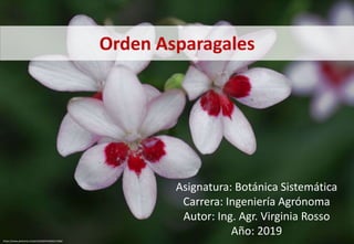 Orden Asparagales
Asignatura: Botánica Sistemática
Carrera: Ingeniería Agrónoma
Autor: Ing. Agr. Virginia Rosso
Año: 2019
https://www.pinterest.es/pin/535365474440217304/
 