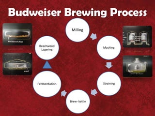 Budweiser Brewing Process
                     Milling


      Beachwood                    Mashing
       Lagering




     Fermentation                  Straining




                    Brew- kettle
 