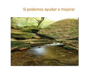 Si podemos ayudar a mejorar