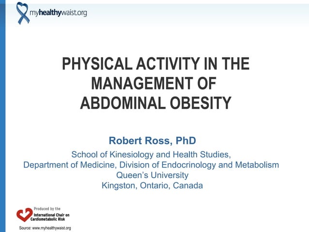 abdominal obesity thesis