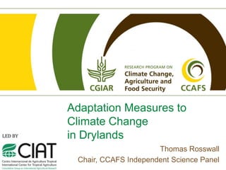 Adaptation Measures to
Climate Change
in Drylands
                      Thomas Rosswall
 Chair, CCAFS Independent Science Panel
 