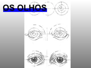 OS OLHOS 