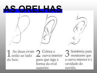 AS ORELHAS 