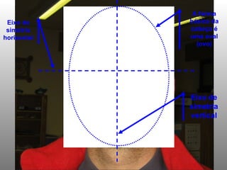 A forma básica da cabeça é uma oval (ovo) Eixo de simetria horizontal Eixo de simetria vertical 