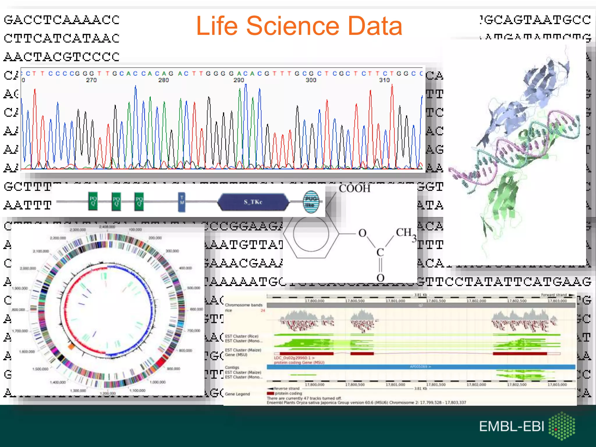 Life Science Data
 