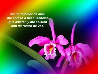 sin un temblor de más,  me abrazo a tus ausencias  que asisten y me asisten  con mi rostro de vos.   
