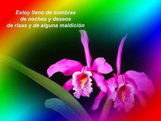 Estoy lleno de sombras  de noches y deseos  de risas y de alguna maldición  