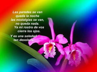 Las paredes se van  queda la noche  las nostalgias se van,  no queda nada.   Ya mi rostro de vos  cierra los ojos.   Y es una soledad  tan desolada. 