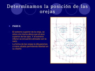 Determinamos la posición de las orejas PASO 6: El extremo superior de la oreja, se sitúa a la misma altura que el arco superior de los ojos. Y el extremo inferior se encuentra alineado con la nariz. La forma de las orejas la dibujaremos a mano alzada permitiendo libertad en su diseño 
