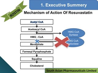 1. Executive Summery
Mechanism of Action Of Rosuvastatin
HMG - CoA
Mevalonate
Farnesyl Pyrophosphate
Squaline
Cholesterol
Acetoacyl CoA
HMG CoA
Syntase
HMG CoA
Reductase
South Asian Pharmaceuticals Limited
 