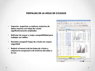 VENTAJAS DE LA HOJA DE CÁLCULO
• Importar, organizar y explorar conjuntos de
datos masivos con hojas de cálculo
significativamente ampliadas
• Disfrutar de mayor y mejor compatibilidad para
trabajar con tablas
• Permiten compartir hojas de cálculo con mayor
seguridad
• Reducir el tamaño de las hojas de cálculo y
mejorar la recuperación de archivos dañados a
la vez
 