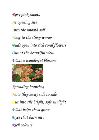 Rosy pink shoots <br />At opening site<br />Into the smooth soil<br />Next to the slimy worms<br />Buds open into rich coral flowers<br />Out of the beautiful view<br />What a wonderful blossom<br />Spreading branches,<br />How they sway side to side<br />Out into the bright, soft sunlight<br />What helps them grow<br />Eyes that burn into <br />Rich colours<br />