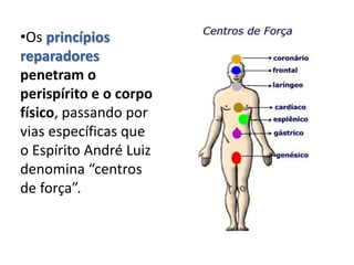•Os princípios
reparadores
penetram o
perispírito e o corpo
físico, passando por
vias específicas que
o Espírito André Luiz
denomina “centros
de força”.
 