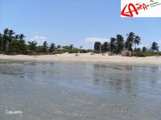 Rota Das Emocoes Casa Do Turismo