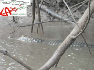 Rota Das Emocoes Casa Do Turismo