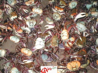 Rota Das Emocoes Casa Do Turismo