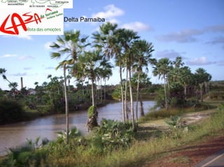 Rota Das Emocoes Casa Do Turismo