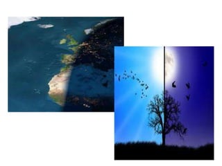 Rotacija utvrdjivanje