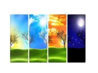 Rotacija utvrdjivanje