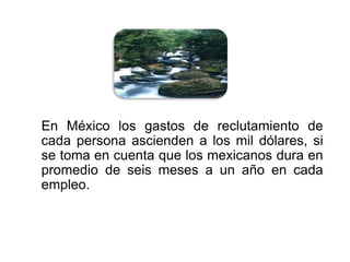 En México los gastos de reclutamiento de 
cada persona ascienden a los mil dólares, si 
se toma en cuenta que los mexicanos dura en 
promedio de seis meses a un año en cada 
empleo. 
 