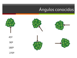 Ángulos conocidos
45º
90º
180º
270º
 