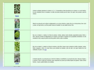 Rotacion de cultivos