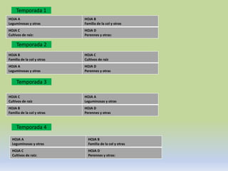 Temporada 1
HOJA A                      HOJA B
Leguminosas y otras         Familia de la col y otras
HOJA C                      HOJA D
Cultivos de raíz:           Perennes y otras:

     Temporada 2
HOJA B                      HOJA C
Familia de la col y otras   Cultivos de raíz
HOJA A                      HOJA D
Leguminosas y otras         Perennes y otras


     Temporada 3

HOJA C                      HOJA A
Cultivos de raíz            Leguminosas y otras
HOJA B                      HOJA D
Familia de la col y otras   Perennes y otras


     Temporada 4

  HOJA A                      HOJA B
  Leguminosas y otras         Familia de la col y otras
  HOJA C                      HOJA D
  Cultivos de raíz:           Perennes y otras:
 
