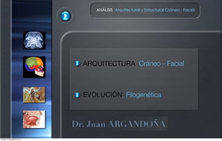 ANÁLISIS Arquitectural y Estructural Cráneo - Facial
ARQUITECTURA Cráneo - Facial
EVOLUCIÓN Filogenética
1martes, 10 de febrero de 15
 
