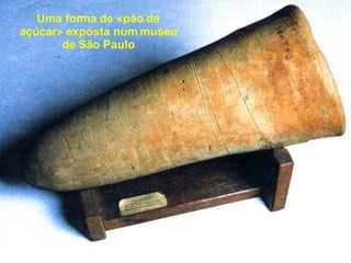 Uma forma de «pão de açúcar» exposta num museu de São Paulo 