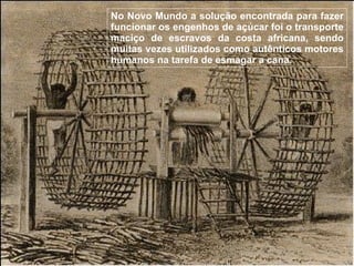 No Novo Mundo a solução encontrada para fazer funcionar os engenhos de açúcar foi o transporte maciço de escravos da costa africana, sendo muitas vezes utilizados como autênticos motores humanos na tarefa de esmagar a cana. 