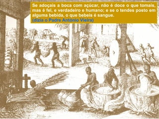 Se adoçais a boca com açúcar, não é doce o que tomais, mas é fel, e verdadeiro e humano; e se o tendes posto em alguma bebida, o que bebeis é sangue. (dizia o Padre António Vieira)  