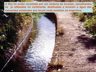 A Ilha foi então recortada por um sistema de levadas, semelhantes ás  já utilizadas no continente, destinadas a levarem a água das nascentes existentes aos locais onde existiam os engenhos.   