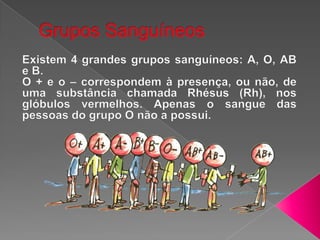 Grupos SanguíneosExistem 4 grandes grupos sanguíneos: A, O, AB e B.O + e o – correspondem à presença, ou não, de uma substância chamada Rhésus (Rh), nos glóbulos vermelhos. Apenas o sangue das pessoas do grupo O não a possui.